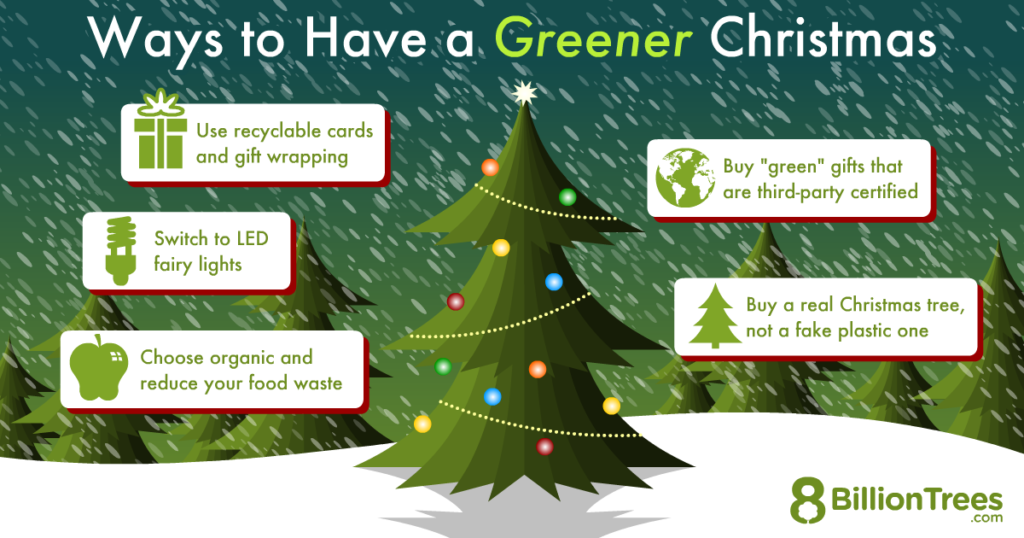 What Do You Get An Eco-Warrior For Christmas?